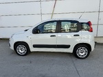 Fiat Panda Christmas Offer - ΔΩΡΟ ΤΕΛΗ 2026 !!