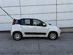 Fiat Panda MTJ LOUNGE 4X2 ΕΛΛΗΝΙΚΗΣ ΑΝΤΙΠΡΟΣΩΠΕΙΑΣ